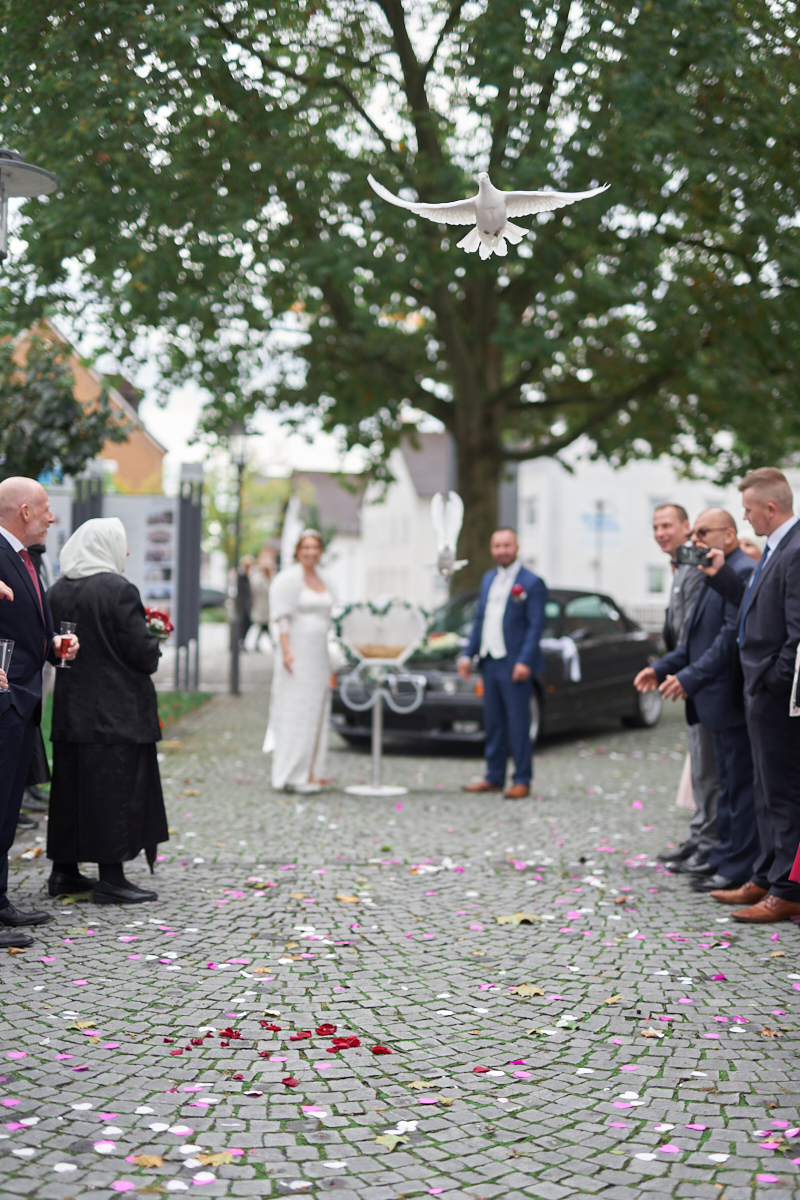Hochzeitsfotograf-Ulm-Wedding2 216